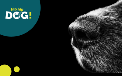 Il naso del tuo cane è unico!
